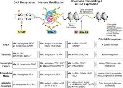Dissecting the Epigenetic Changes Induced by Non-Antipsychotic Mood Stabilizers on Schizophrenia and Affective Disorders: A Systematic Review